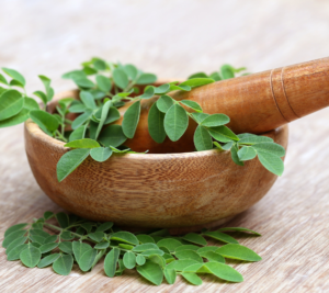 Moringa Leaves