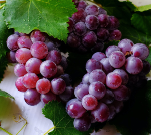 Grapes